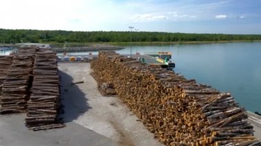 Estonya'nın limanı üzerinde pulpwood bir sürü kargo gh4 için hazır