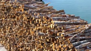 pulpwood ateşe Estonya gh4 liman üstünde göstermek için yığın