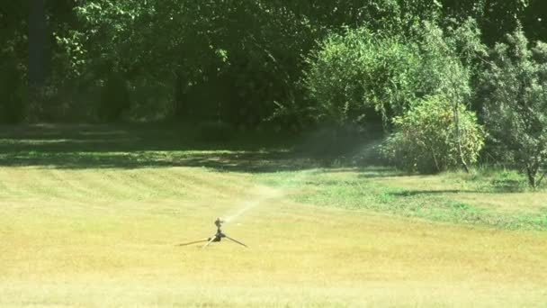 Un aspersor de hierba poniendo un poco de agua en la hierba bermuda FS700 Odyssey 7Q — Vídeo de stock