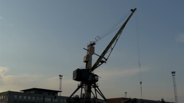 Grande grue en veille par un après-midi crépusculaire dans le port GH4 — Video