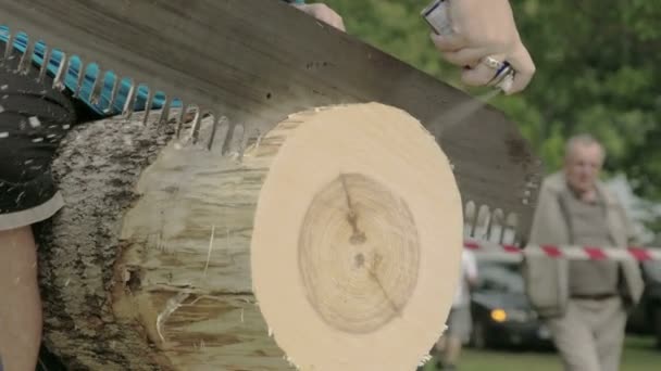 Une compétition de coupe de grumes avec une grosse scie — Video