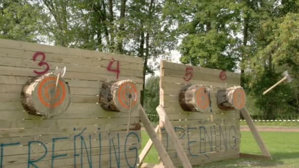 Four log boards with three axes on each — Stock Video