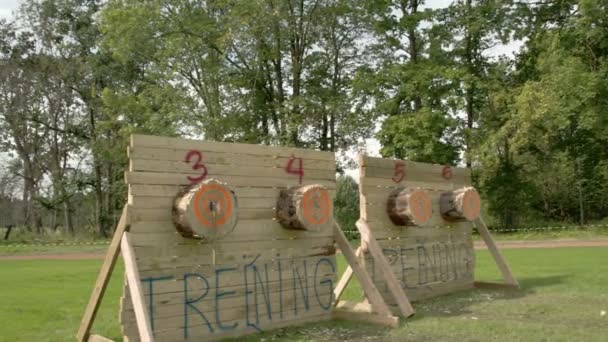 Tres hachas han sido lanzadas a los tableros de madera — Vídeos de Stock
