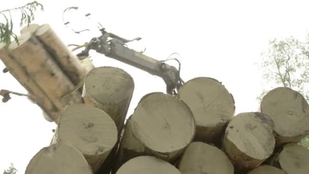 Ensemble de billes transférées dans un camion 