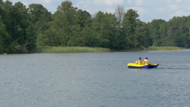 Tourists paddling the water bicycle in the lake — Stock Video