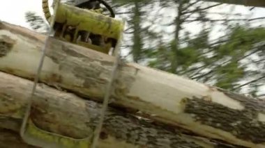 günlüklerin üzerine aktarılması