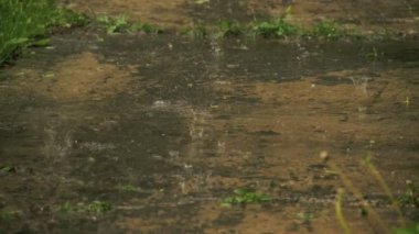 Yağmur damlaları yere