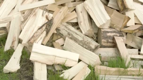 Haufen frischgebackenen Brennholzes — Stockvideo