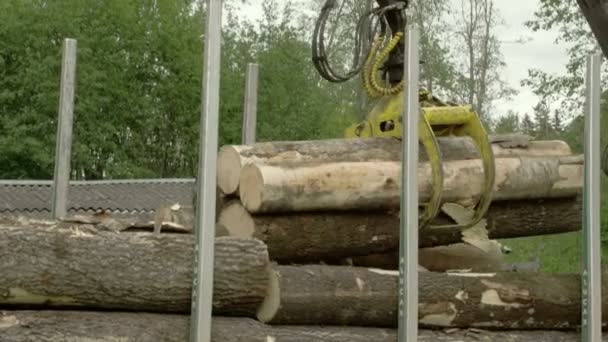 Una grúa recortando algunos troncos — Vídeos de Stock