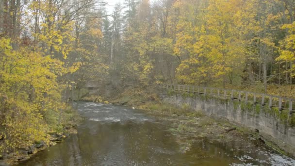 Superficie entourée de nombreux érables FS700 