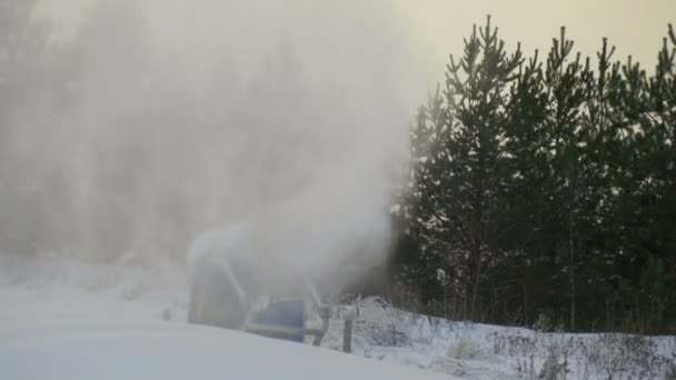 El soplado de nieve con el soplador de nieve — Vídeo de stock