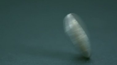 2 euro para dönüyor