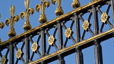 Buckingham Sarayı kapısı kamerada