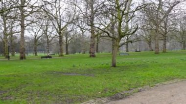 Buckingham Londra Green Park