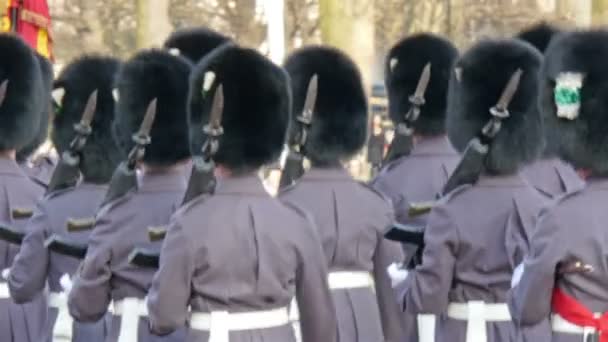 Дворцовая охрана, держащая оружие — стоковое видео