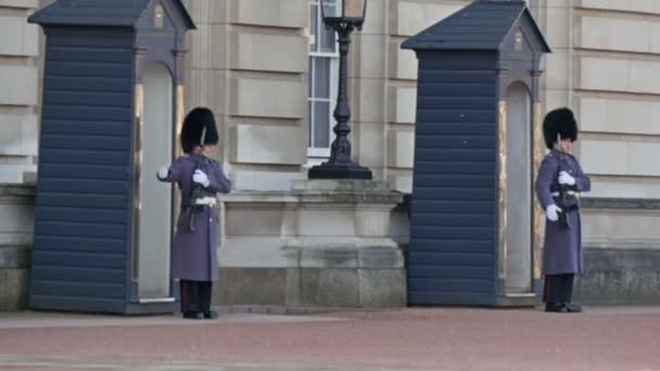 Dos de la guardia del palacio en Buckingham — Vídeos de Stock