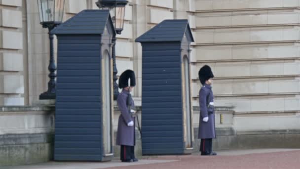 Four guards with coat standing on their posts — Stock Video