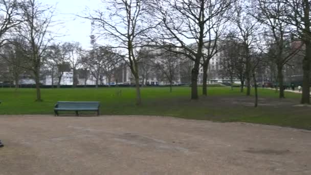 Mensen lopen door het groene Park — Stockvideo