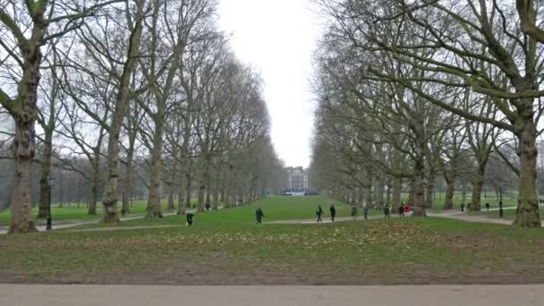 Mensen lopen door het groene Park — Stockvideo