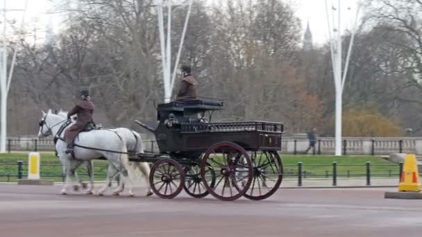 Paard rijtuigen op straat — Stockvideo