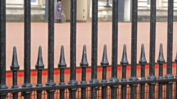 Чёрные ворота Букингемского дворца — стоковое видео