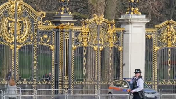 La puerta principal del palacio — Vídeos de Stock