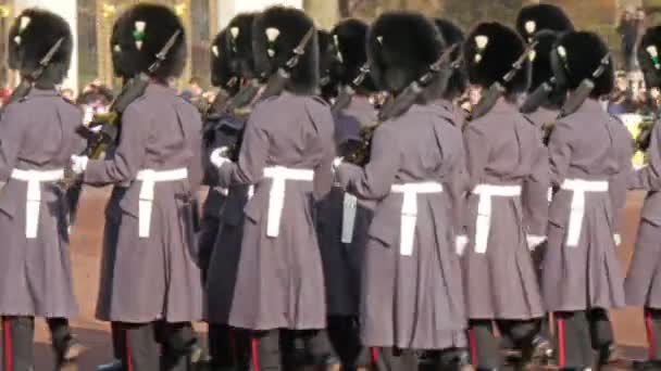 Guardas do palácio estão marchando — Vídeo de Stock