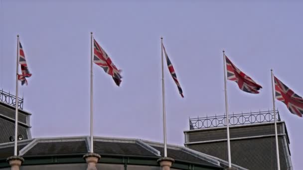 Cinco banderas de Inglaterra ondeando — Vídeos de Stock