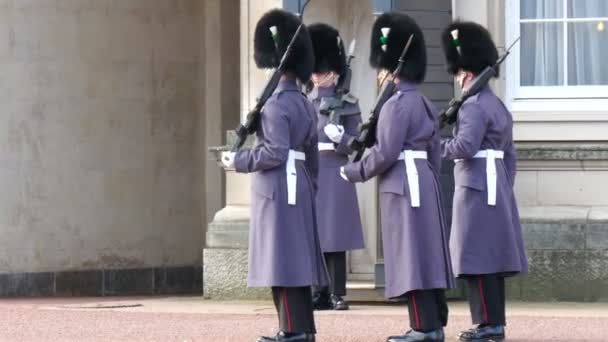 Três guardas do palácio — Vídeo de Stock