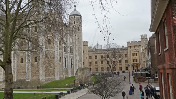 Krásný pohled do londýnské věže — Stock video
