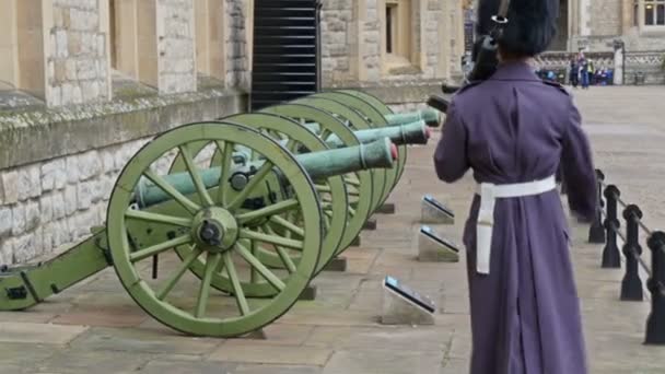 Dos guardias marchando — Vídeos de Stock