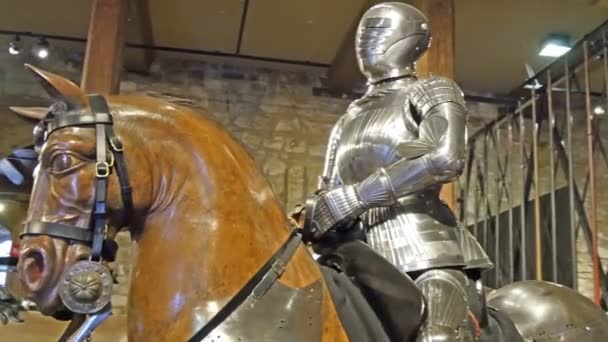 Details van standbeeld van een man op een paard — Stockvideo