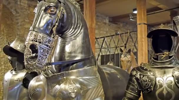 Metallstatuen der Ritter und Pferde — Stockvideo