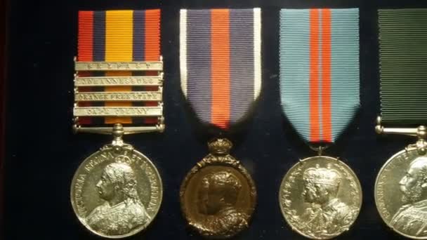 Old medals displayed — Stock Video