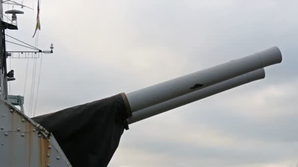 Две огромные артиллерийские пушки — стоковое видео
