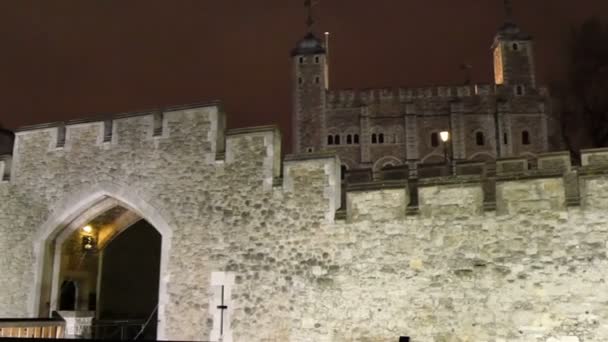 Buiten de tower of London — Stockvideo