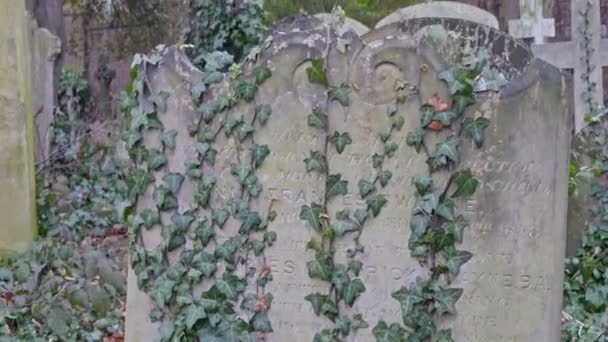 Túmulos e lápides no cemitério — Vídeo de Stock