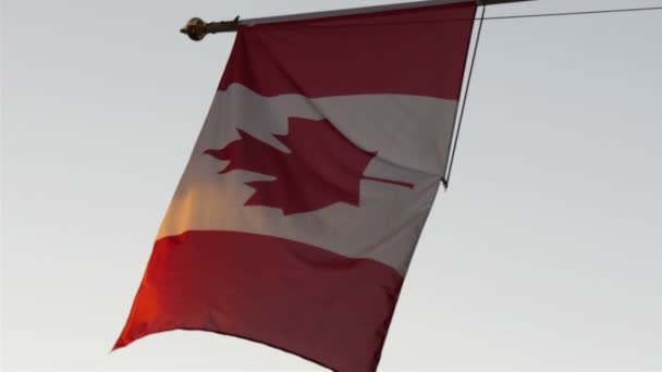 The flags of Canada waving on the poles — Stock Video