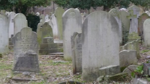Багато надгробків і надгробків — стокове відео