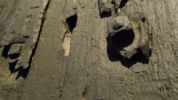 Een oud hout van een oude schip — Stockvideo