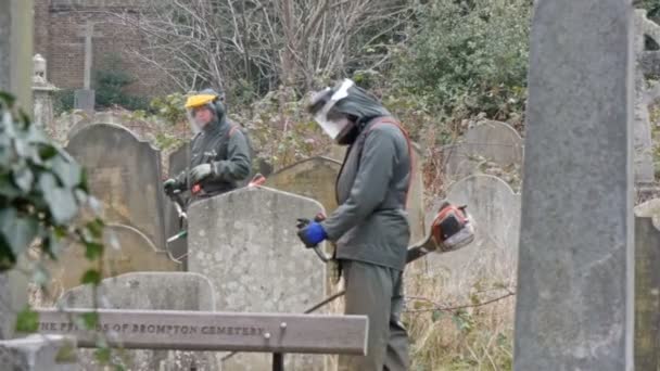 Deux hommes fauchant de l'herbe dans le cimetière — Video