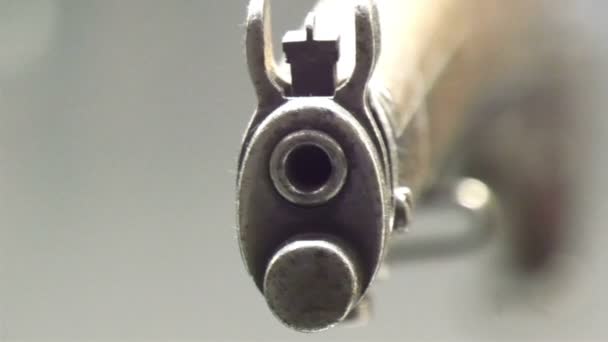 Frente de uma arma de tiro em exposição — Vídeo de Stock