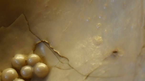 Algunas de las perlas producidas por la almeja — Vídeos de Stock