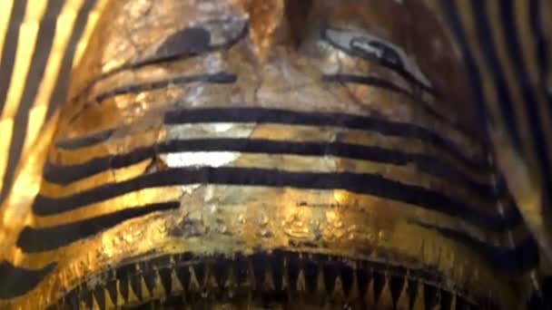 Om statyn av en golden farao — Stockvideo