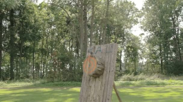 Bijl gegooid op de log — Stockvideo