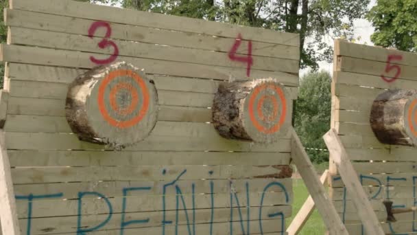 Two axes thrown at log — Stock Video