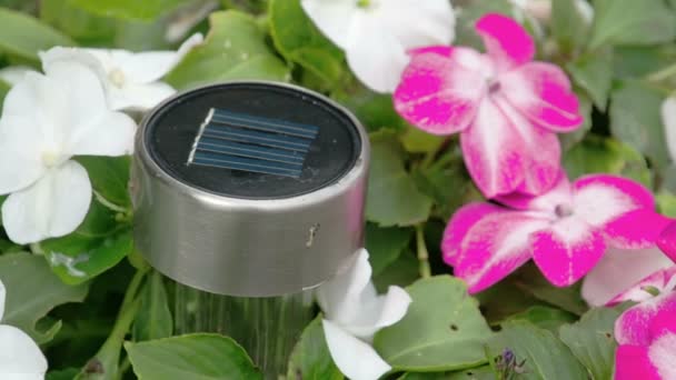 Solar powered charger — Stock Video