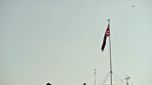 イギリスの旗を振っています。 — ストック動画