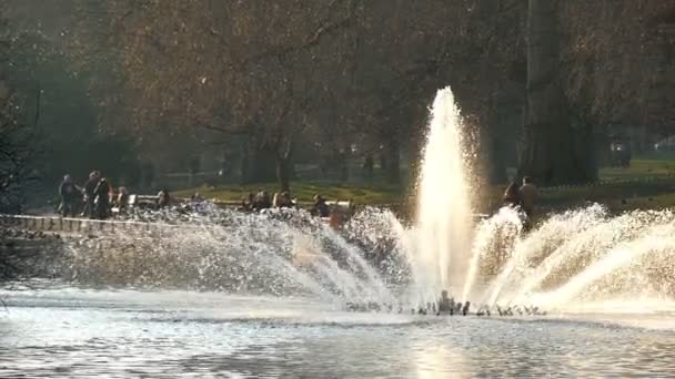 Una grande fontana nel lago — Video Stock