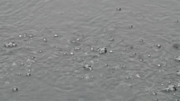 Bolle d'acqua in un lago — Video Stock